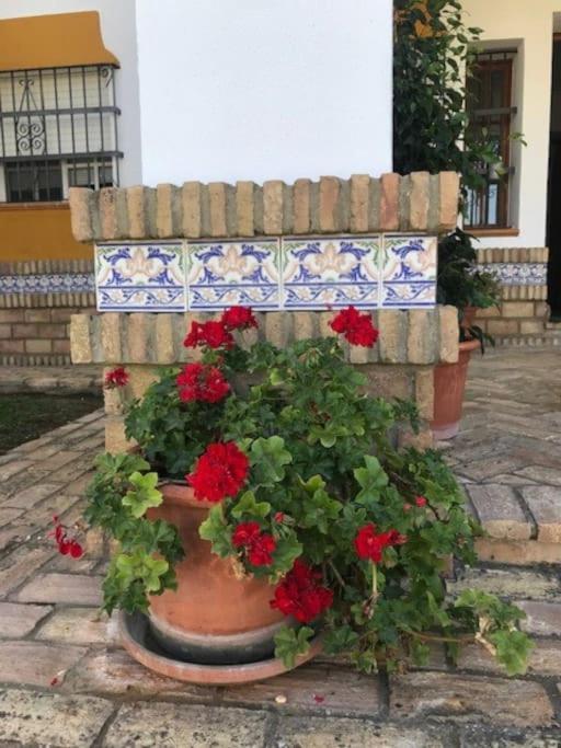 El Magnolio Villa Chiclana de la Frontera Buitenkant foto